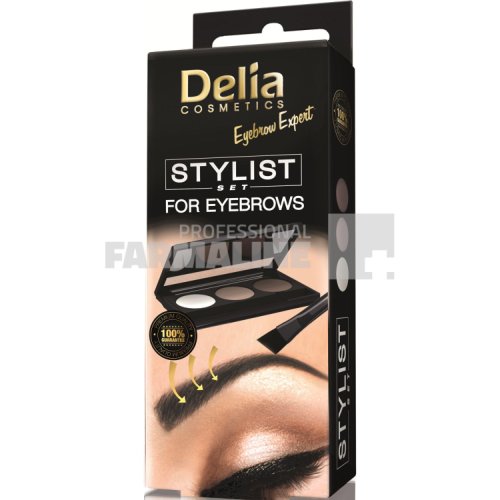 Delia Cosmetics Delia set sprancene stilist expert 2 farduri pudra + ceara + pensula