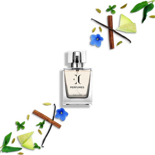 Parfum ec 294 barbati, aromatic/ fougere , 50 ml