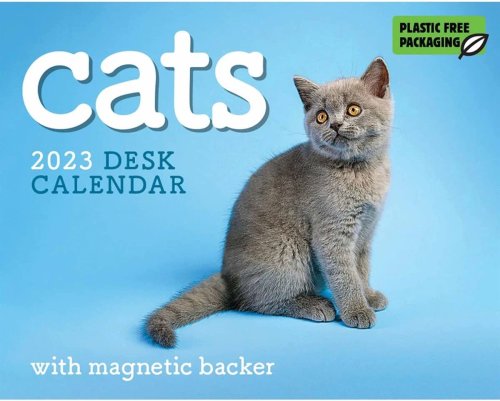 Calendar 2023 - mini box - cats | carousel
