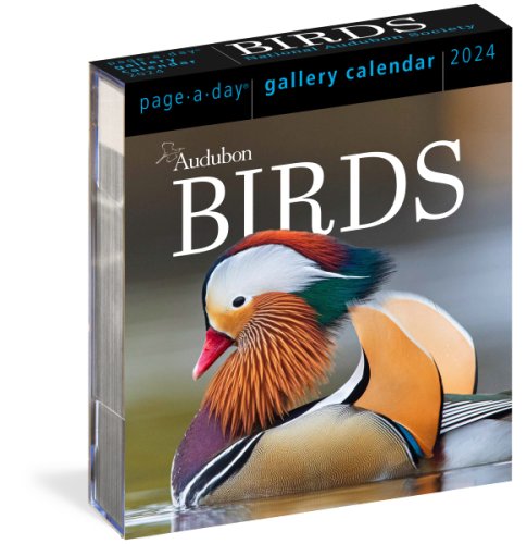 Calendar - audubon birds - 2024 | workman publishing company