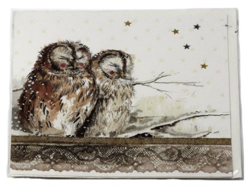 Felicitare - tawny owls sparkle | alex clark art ltd