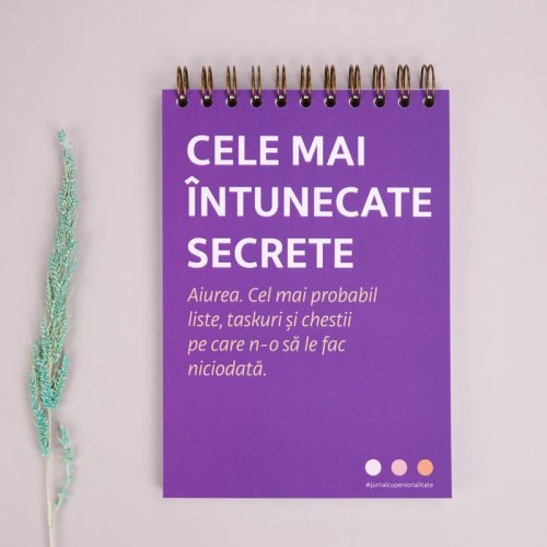 Notebook cadou pentru prieteni - jurnal secrete intunecate | wonderstore