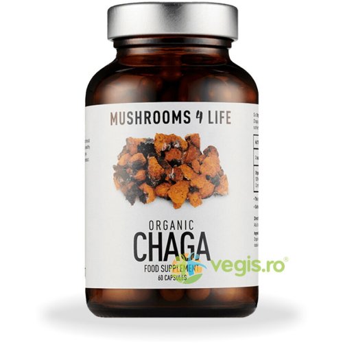 Chaga mushroom 800mg full spectrum 60cps
