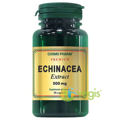 Echinacea extract 500mg 30cps premium