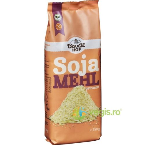 Faina de soia prajita fara gluten ecologica/bio 250g