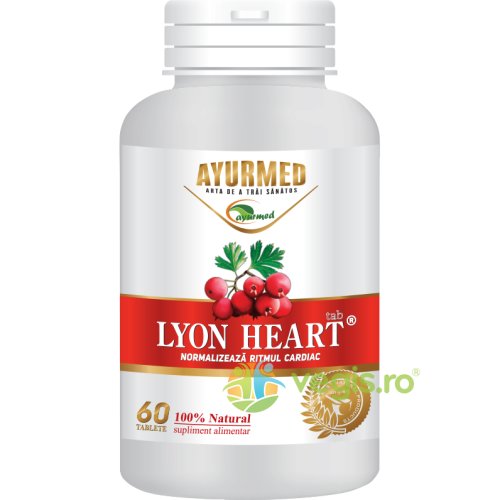 Lyon heart 60tb