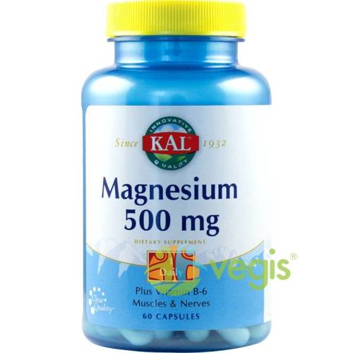 Magnesium 500mg 60cps