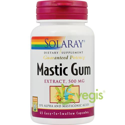 Mastic gum 45cps
