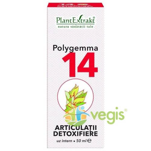 Polygemma nr. 14 50ml (articulatii-detoxifiere)