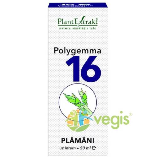 Polygemma nr.16 50ml(plamani-detoxifiere)