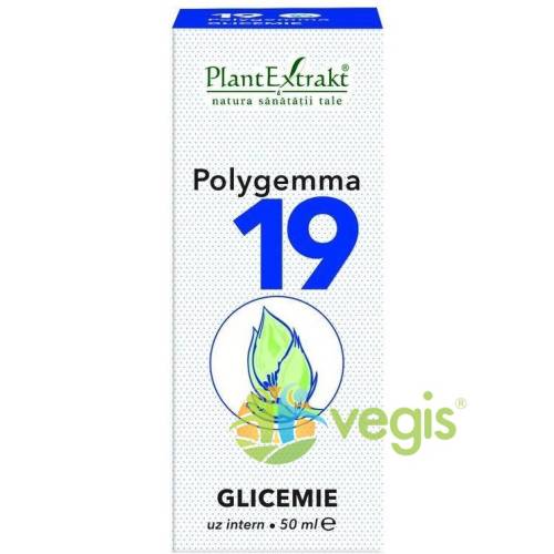 Polygemma nr. 19 50ml (glicemie)