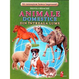 Animale domestice din intreaga lume - cartonase - silvia ursache, editura silvius libris