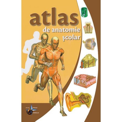 Atlas de anatomie scolar, editura steaua nordului