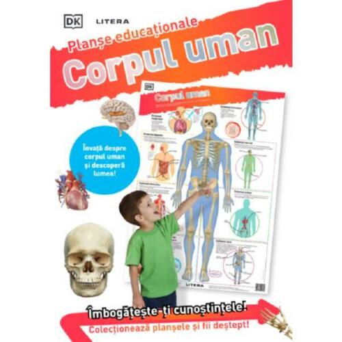 Corpul uman. planse educationale, editura litera
