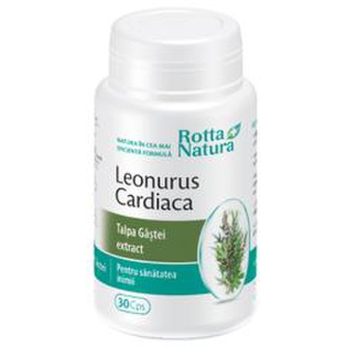 Leonorus cardiaca (talpa gastei) extract rotta natura, 30 capsule