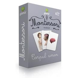 Montessori - vocabular: corpul uman, editura gama