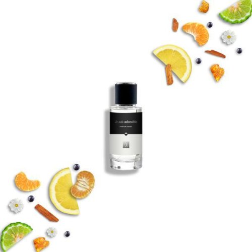 Parfum unisex ec 321 nisa, silver mountain water, citric/ambrat 50 ml