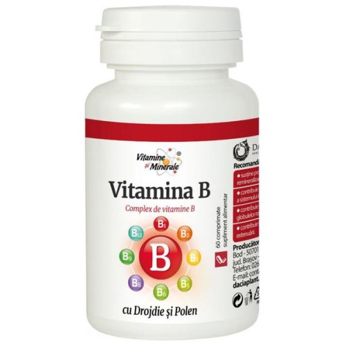 Vitamina b cu drojdie si polen - dacia plant, 60 comprimate