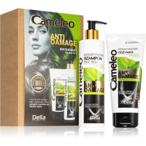 Delia cosmetics cameleo anti damage set cadou (pentru parul deteriorat si fragil)