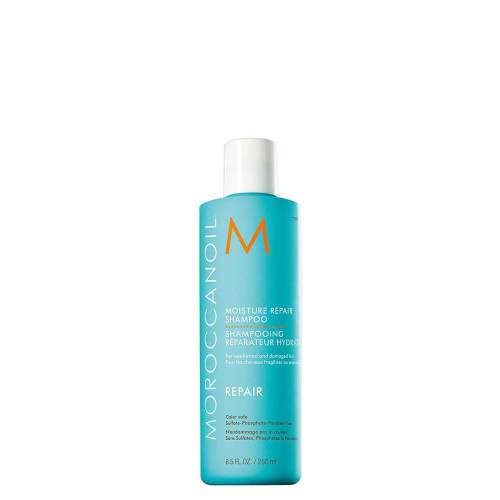 Moisture repair shampoo 250 ml