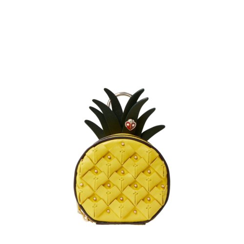 Picnic pineapple coin purse