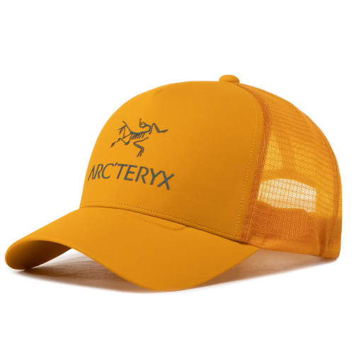 Șapcă arc'teryx - logo trucker 23965 quantum