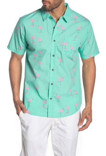 Imbracaminte barbati party pants cruisers flamingo print regular fit shirt mint green