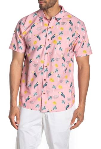 Imbracaminte barbati party pants lets talk tropic toucan printed regular fit shirt pink