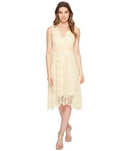 Imbracaminte femei Donna Morgan sleeveless lace v-neck fit and flare with waist detail pale yellow
