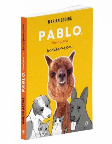 Carte pablo the alpaca