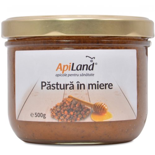 Pastura in miere 500g - apiland